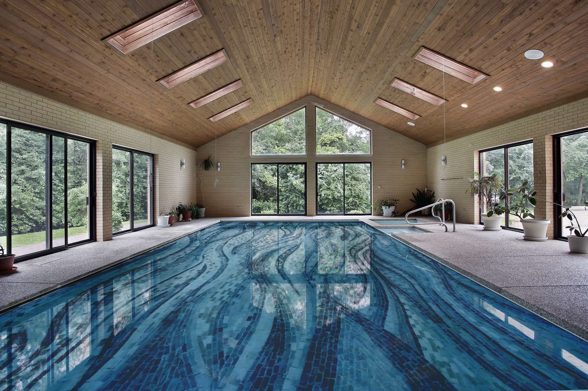 Residential Indoor Lap Pool