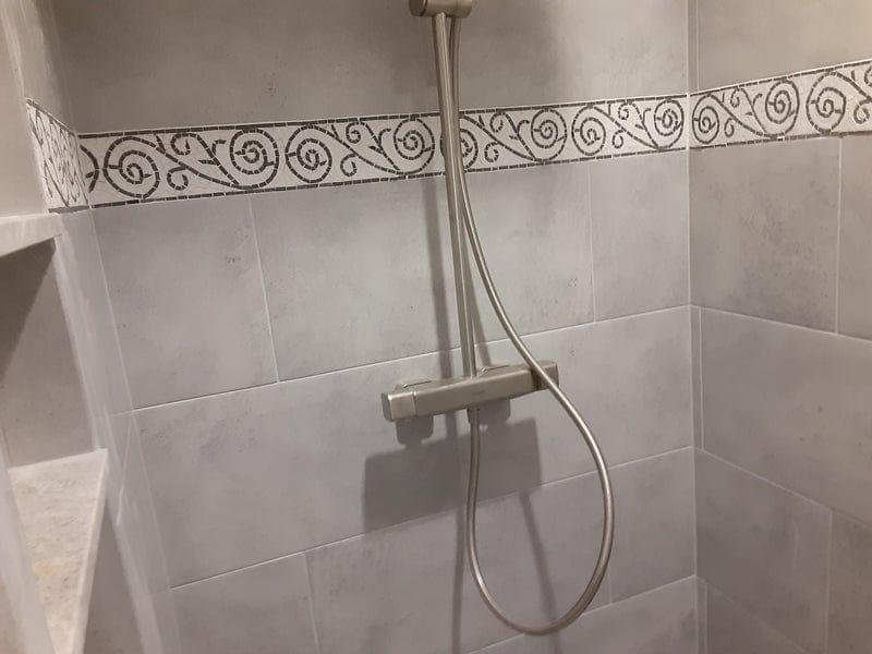 Floral Zebra - Pattern Mosaic Border