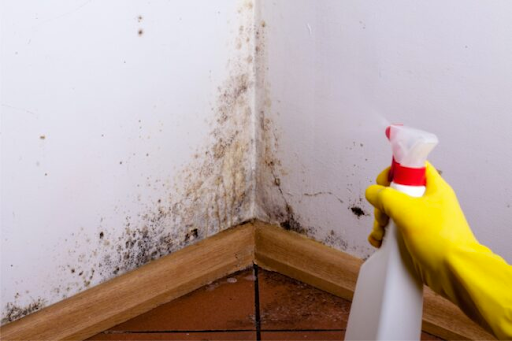 So reinigen, bedecken und verhindern Sie Wand- und Deckenflecken in Ihrem Zuhause