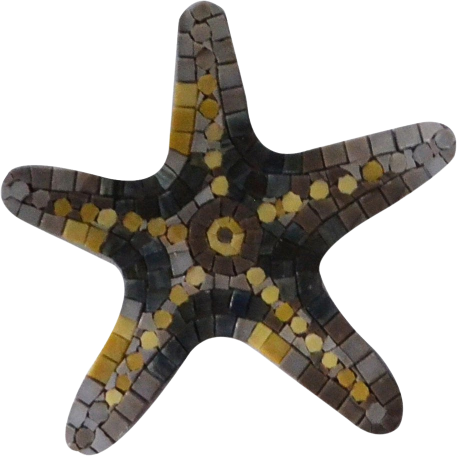 Estrella de mar - Arte de pared de mosaico