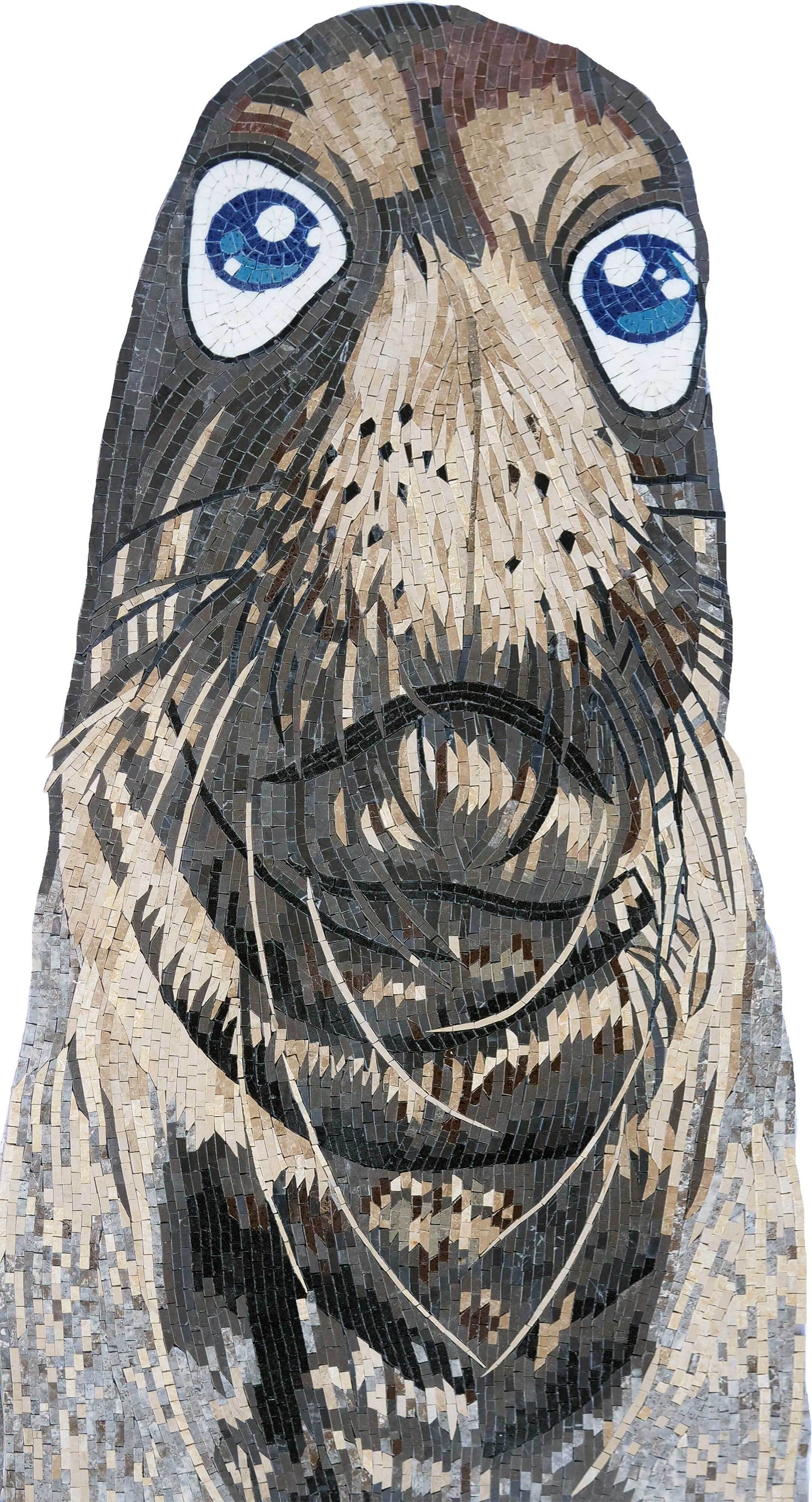 Detailed Marine Seal Face Mosaic Art - Natural Stone Animal Portrait with Blue Eyes