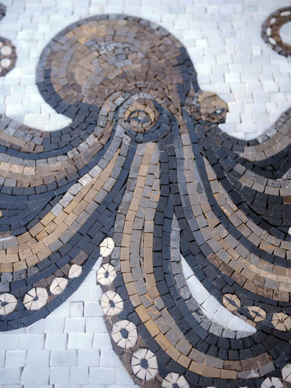 Octopus with Curling Tentacles – Marine Life Marble Mosaic Wall Art - Mesh Backing