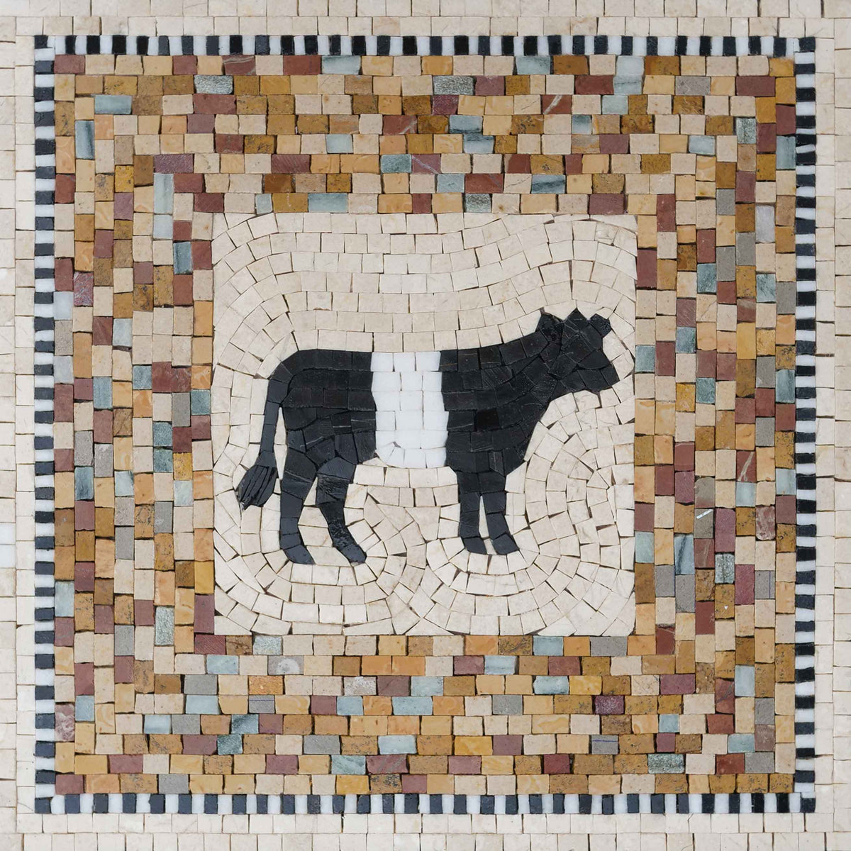 Belted Cow in Framed Border – Black & White Marble Mosaic Wall Art - Mesh Backing