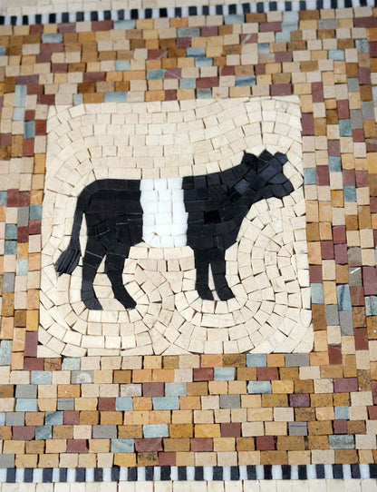 Belted Cow in Framed Border – Black & White Marble Mosaic Wall Art - Mesh Backing