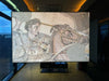 Reproducción en mosaico - Alejandro Magno