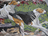 Cão Mosaico Foxhound Americano