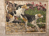 Cane da mosaico americano Foxhound