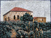 Casa Antica Sul Mosaico Della Collina