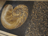Das Mosaik-Kunstwerk Golden Seashell II