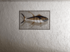 Mosaico de sombras de peces