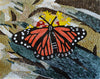 Arte de la pared del mosaico - Mariposa Mozaico