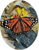 Desenhos de mosaico - Borboleta colorida Mozaico