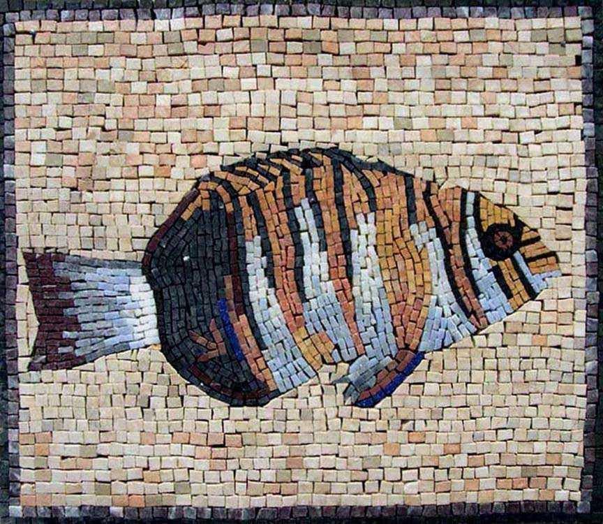 Mosaic Designs - Harlequin Tuskfish from The Great Barrier Reef Mozaico
