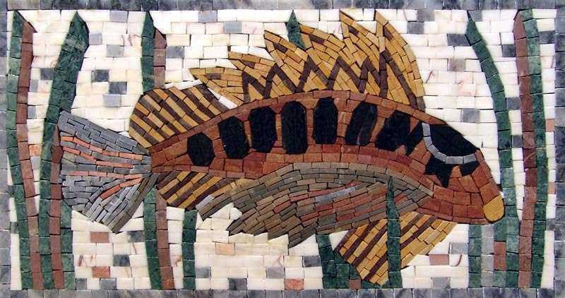 Mosaico in marmo di pesce
