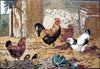 Backsplash de cozinha em mosaico - briga de galos