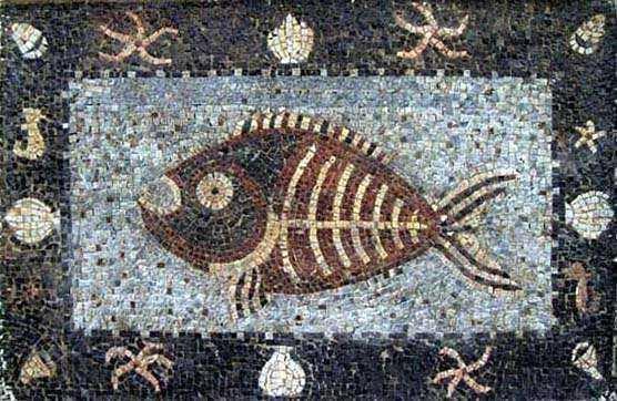 Fish Mosaic With Nautical Broder