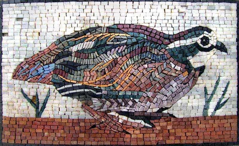 Diseños de mosaico - Phasianidae