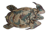Mosaic Designs - Crafted Sea Turtle