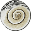 Caracol musical Zentangle - Obra de mosaico
