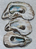 Coquillages au bord de la mer - Art de la mosaïque