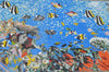 Fond marin des récifs coralliens - Art de la mosaïque