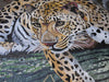 Mosaico de leopardo - Arte contemporáneo