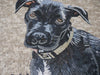Mosaico murale con cane Patterdale Terrier