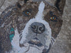 Murale a mosaico con cane boxer