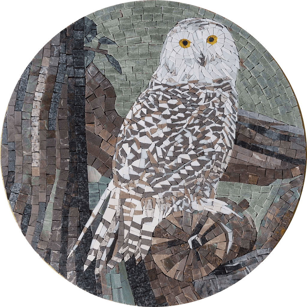 Medaglione di arte del mosaico del gufo