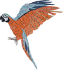 Мозаика на стене - Посадка оранжевого попугая ара