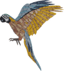 Landing Macaw Parrot Mosaic Artwork