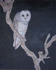Art de la mosaïque d'oiseaux - Le hibou blanc