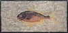 Orange Fish - Mosaic Backsplash
