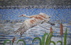 Bel oiseau aigrette - Art mosaïque