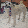 Animal Mosaic Art - Playing Dog