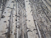 Arte de pared de mosaico de árboles de abedul