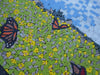 Mosaico de paisaje - El campo de mariposas