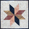 Sana - Star Mosaic Artwork | Mozaico