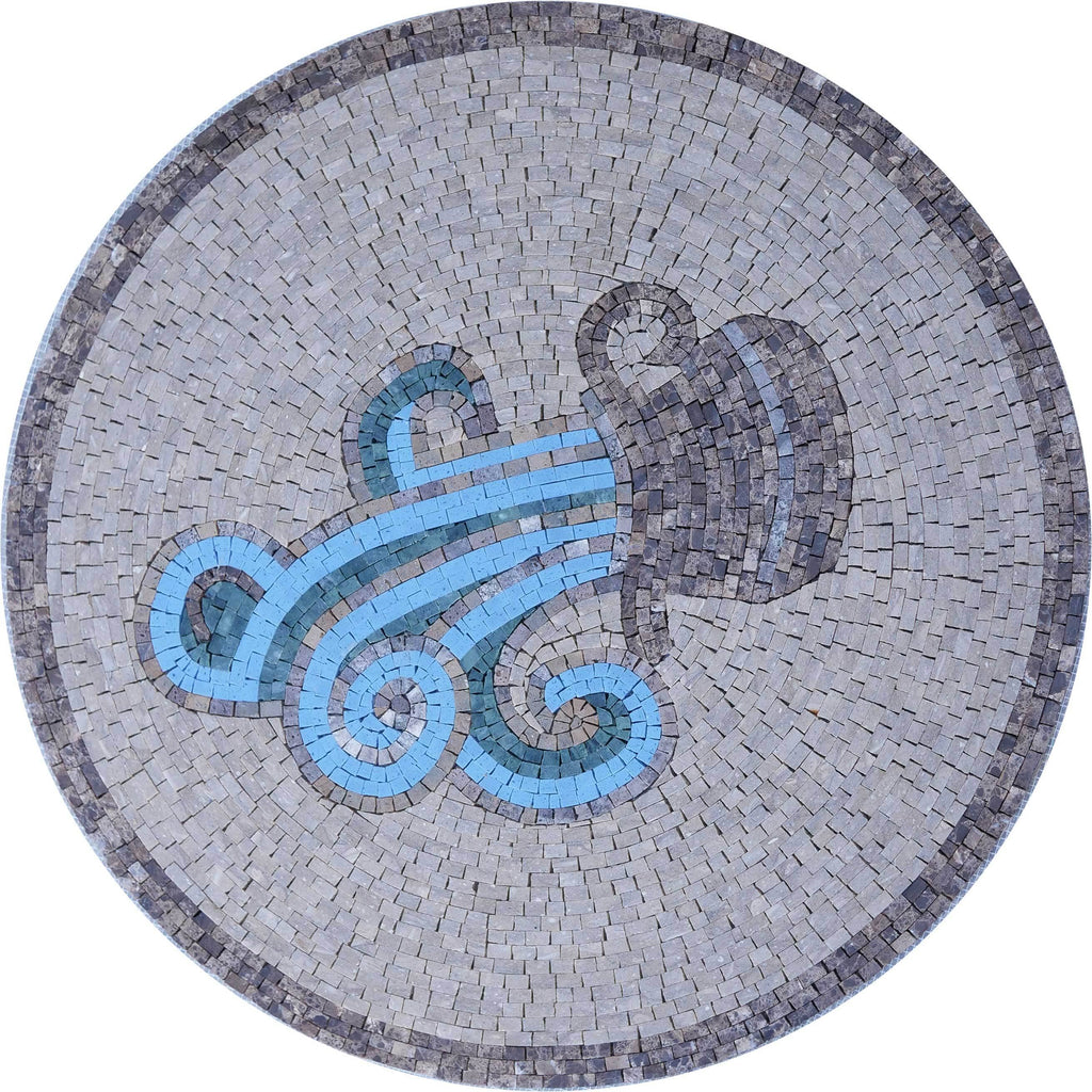Arte del mosaico del medallón de Acuario