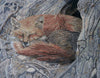 Arte del mosaico animale - Sleepy Foxy