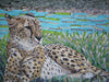 Tiermosaik - Majestätischer Gepard