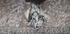 Arte de parede em mosaico - Lúcifer e ovelhas