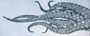 Octopus Tentacles - Pool Tile Art