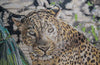Wilder Leopard - Tiermosaik