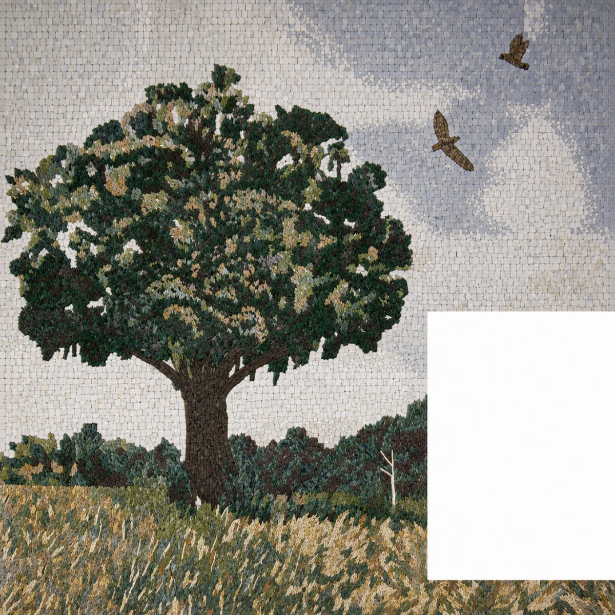Olive Tree Landscape Mosaic — Las Cruces, New Mexico